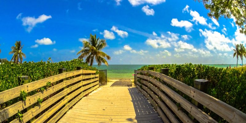 Caribbean Market Days in Miami